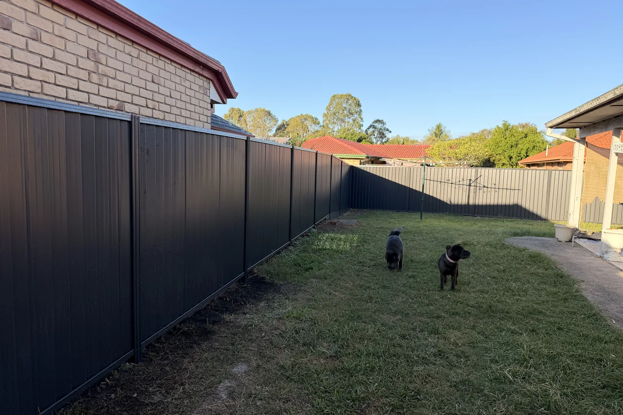 Charcoal Colorbond fence enclosing an established family backyard