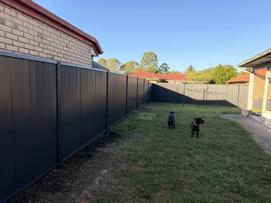 Charcoal Colorbond fence enclosing a family backyard